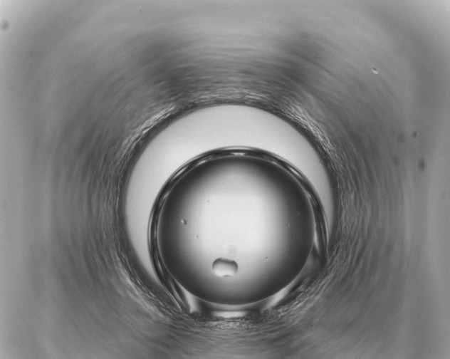 X0000086980356200704231825