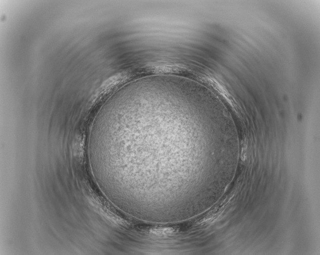 X0000086980357200704231825