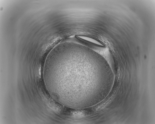 X0000086980358200704231825