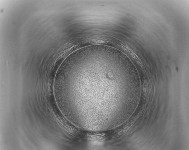 X0000086980359200704231825