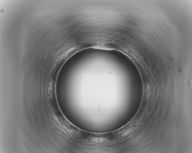 X0000086980360200704231825