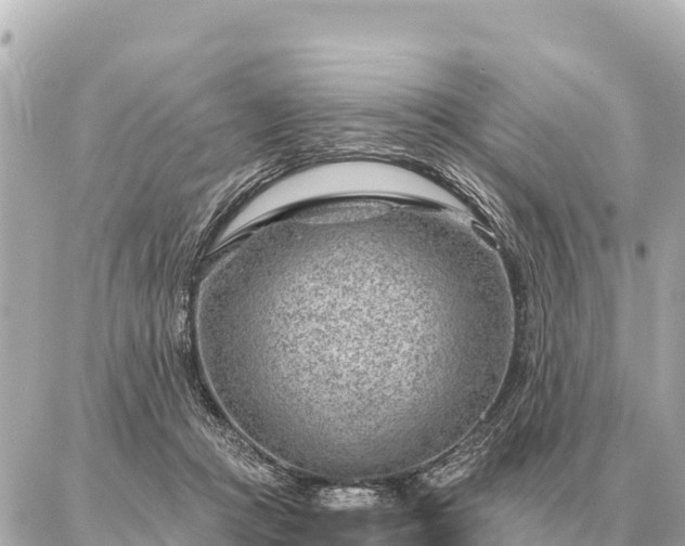 X0000086980361200704231825