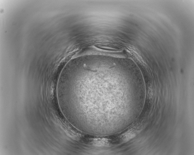 X0000086980363200704231825