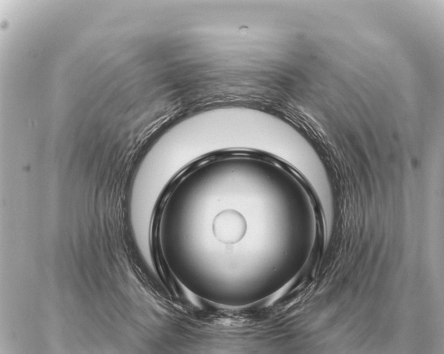 X0000086980364200704231825