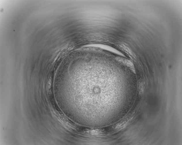 X0000086980365200704231825