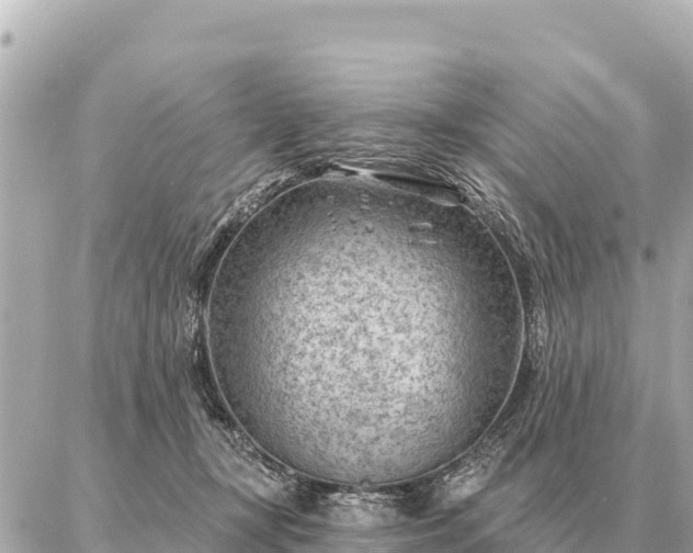 X0000086980367200704231825