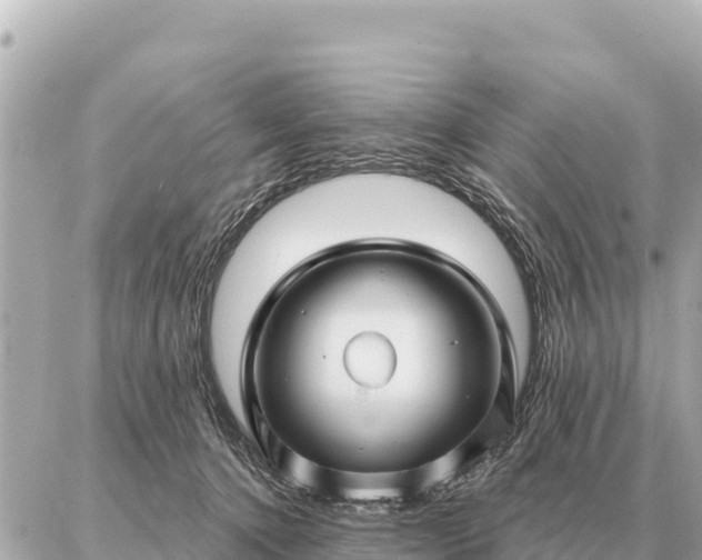 X0000086980368200704231825