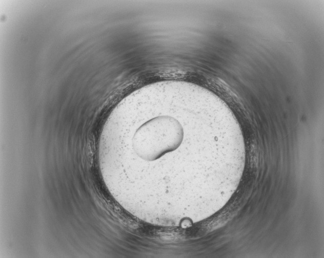 X0000086980370200704231825