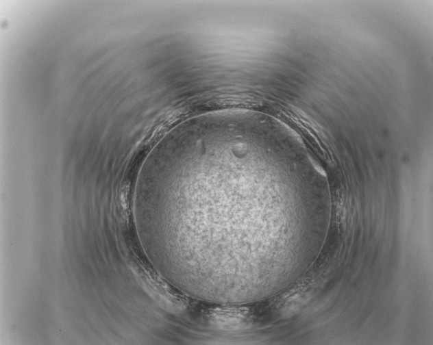 X0000086980373200704231825