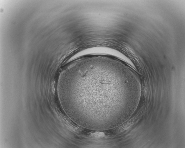 X0000086980374200704231825