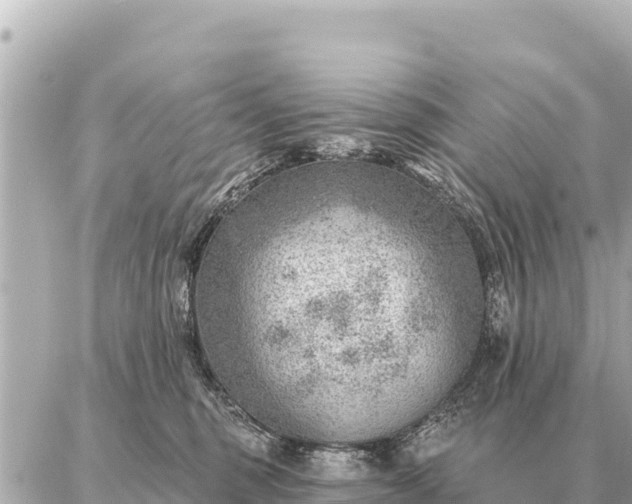 X0000086980375200704231825