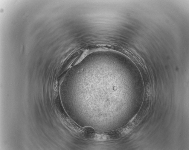 X0000086980376200704231825