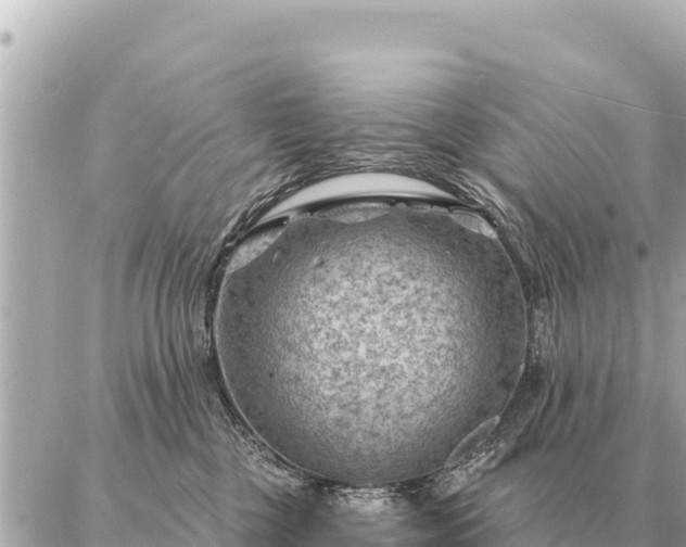 X0000086980377200704231825