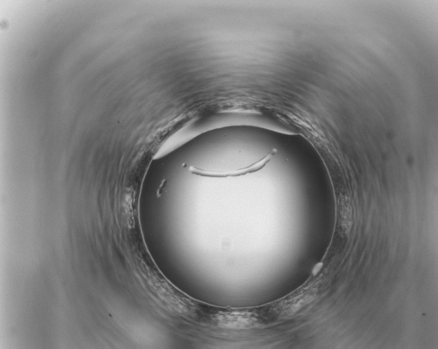 X0000086980378200704231825