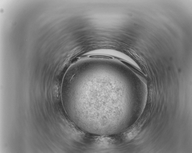 X0000086980379200704231825