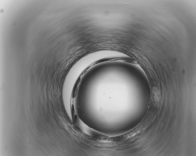 X0000086980380200704231825