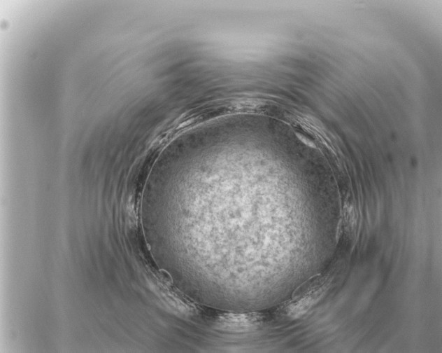 X0000086980381200704231825