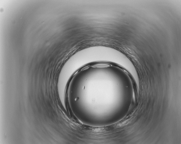 X0000086980382200704231825