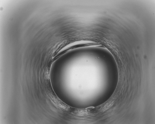 X0000086980384200704231825