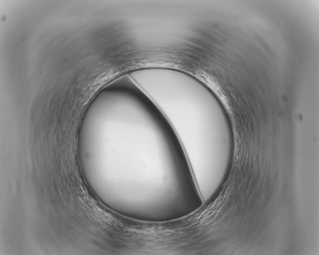 X0000086980385200704231825