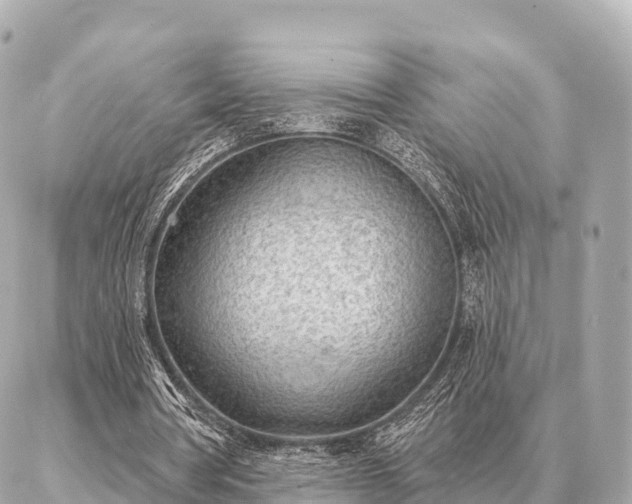 X0000086980386200704231825