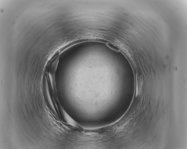 X0000086980387200704231825