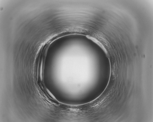 X0000086980388200704231825