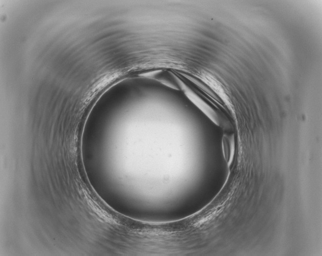 X0000086980389200704231825