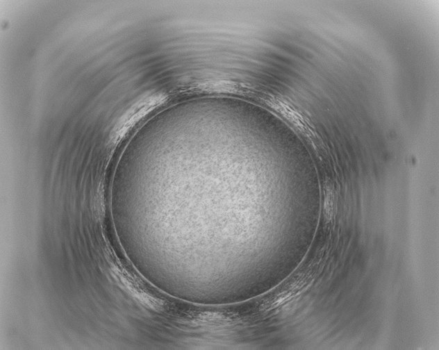 X0000086980390200704231825