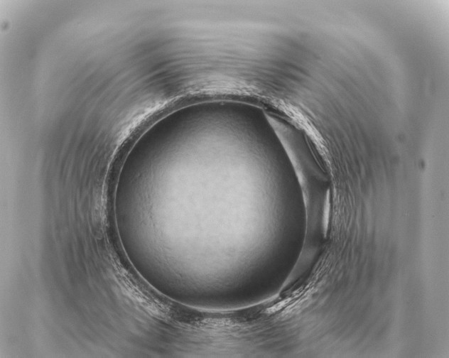 X0000086980391200704231825