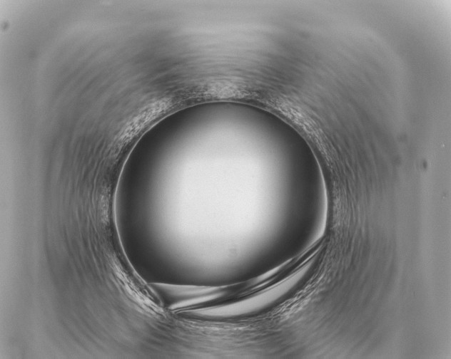 X0000086980393200704231825