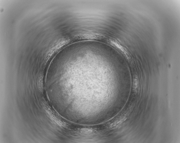 X0000086980394200704231824