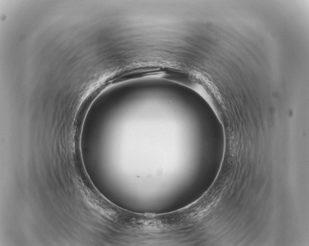 X0000086980395200704231824