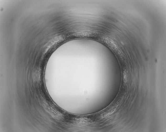 X0000086980396200704231824