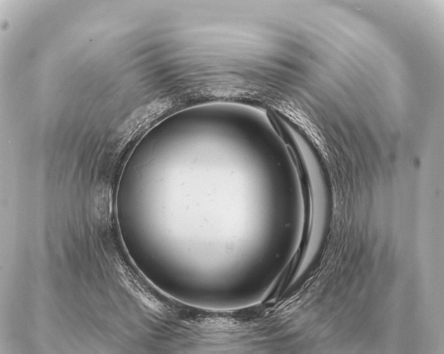 X0000086980397200704231824