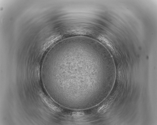 X0000086980398200704231824