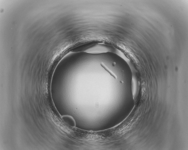 X0000086980399200704231824