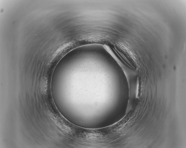 X0000086980400200704231824