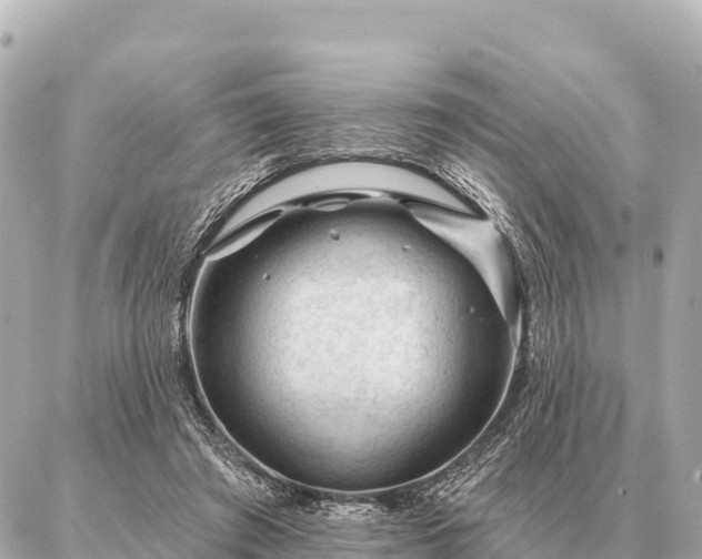 X0000086980401200704231824