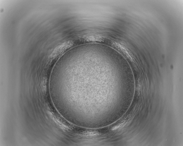 X0000086980402200704231824