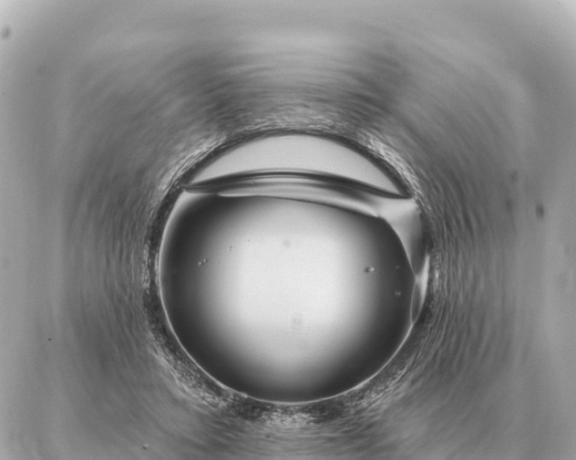 X0000086980403200704231824