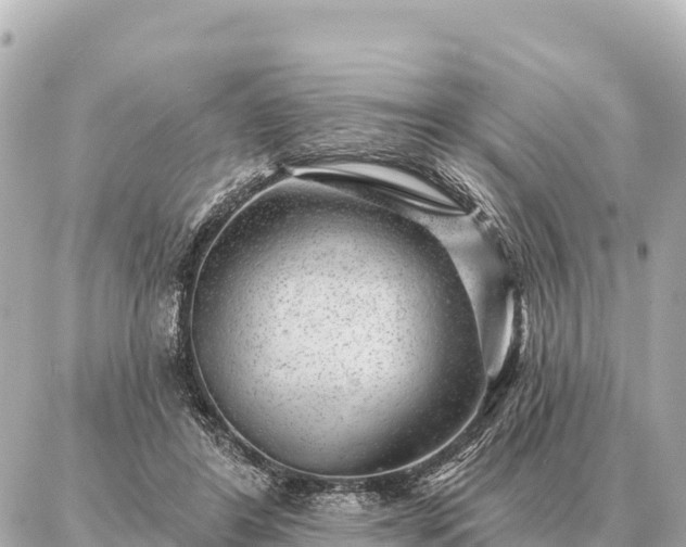 X0000086980404200704231824