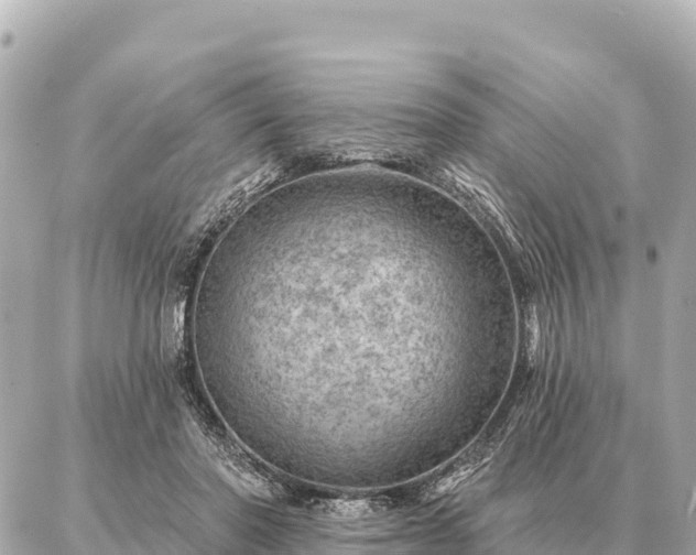 X0000086980406200704231824