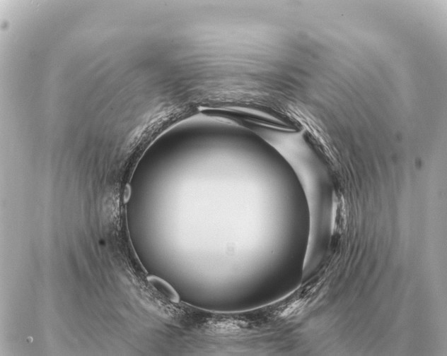 X0000086980407200704231824