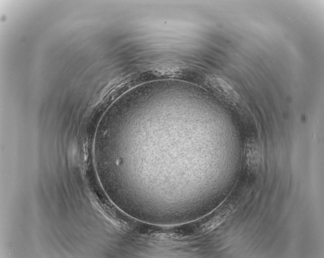 X0000086980408200704231824