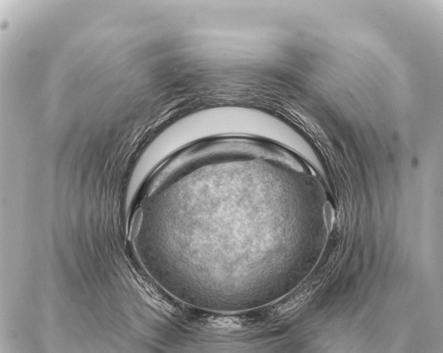 X0000086980409200704231824