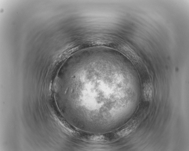 X0000086980410200704231824