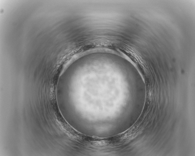 X0000086980411200704231824