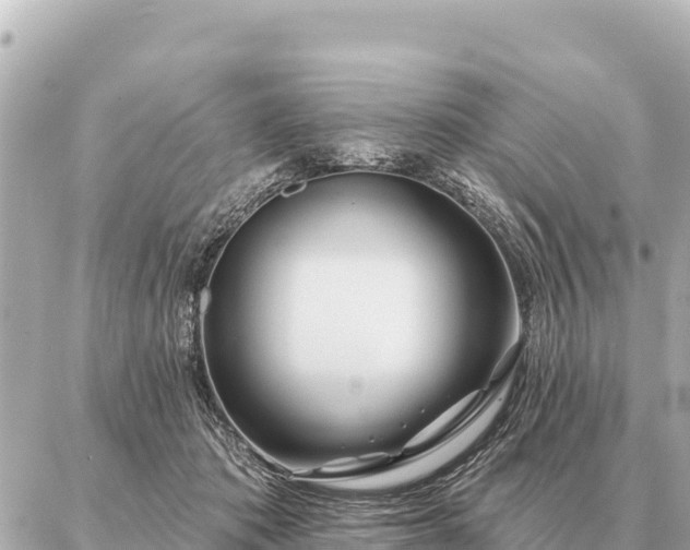 X0000086980413200704231824