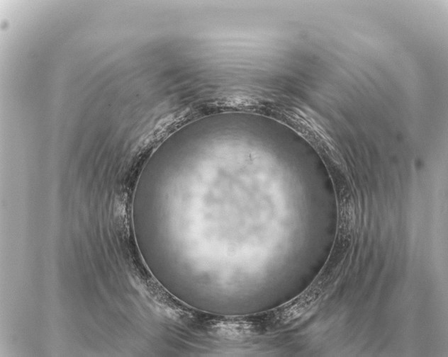 X0000086980415200704231824